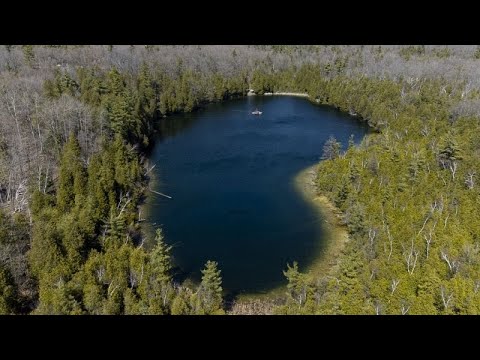 Das Anthropozän: Beginn eines neuen Zeitalterns?