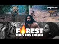 The Moment It All Changed Kantara A Legend Chapter 1 Rishab Shetty Prime Video India