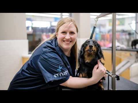 Petco Com Careers