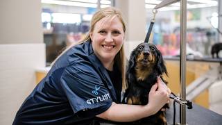 Inside the Salon: Dog Grooming Careers at Petco