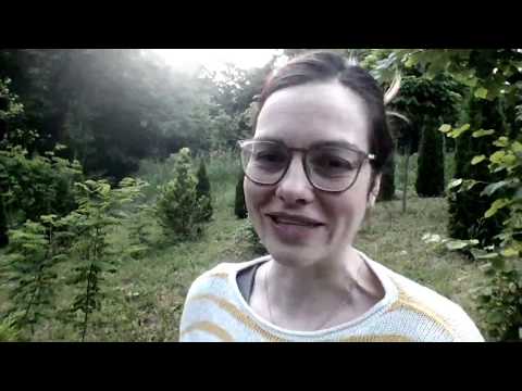 NEMAČKI | SVAKODNEVNIM SLUŠANJEM I VEŽBANJEM DO USPEHA | PRESKOČITE NEPOTREBNO UČITE ONO ŠTO KORISTI