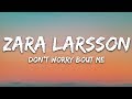 Zara Larsson Don T Worry Bout Me Lyrics