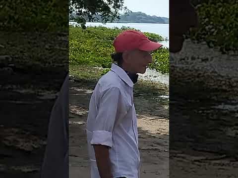 Ciénega de Bellavista Guamal Magdalena Colombia