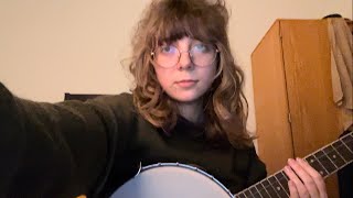 fake palindromes - andrew bird cover