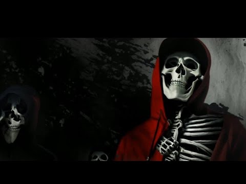 Kenzo Hound x Bully Hound-Free D4D