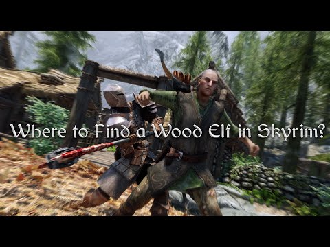 Where to Find a Wood Elf in Skyrim?