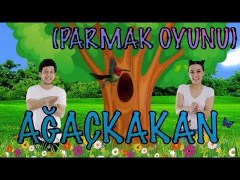 Woodpecker - Tıngır Mıngır Children's Songs