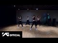 BLACKPINK - '뚜두뚜두 (DDU-DU DDU-DU)' DANCE PRACTICE VIDEO (MOVING VER.)