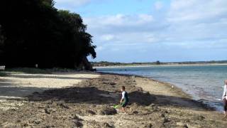 preview picture of video 'Studland Bay Beach. Isle of Purbeck, Dorset. England.'