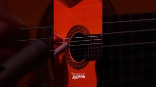 Flamenco Meets Jazz in Groundbreaking Festival 2025 - Josemi Carmona