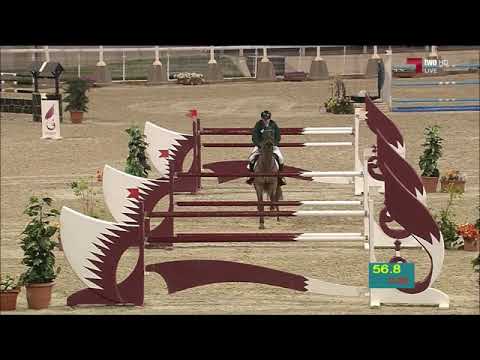 REGILIO Hengst v. Heartbreaker- Burggraaf- Lord mit Nachkommen