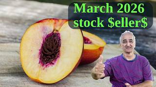 My Stock Photo Earnings March 2026 | Behind The Numbers