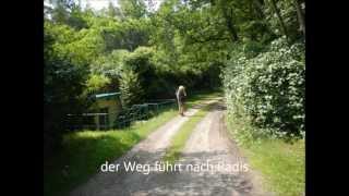 preview picture of video 'Jakobsweg in Sachsen-Anhalt von Bergwitz bis Gräfenhainichen (ca. 15 km)'