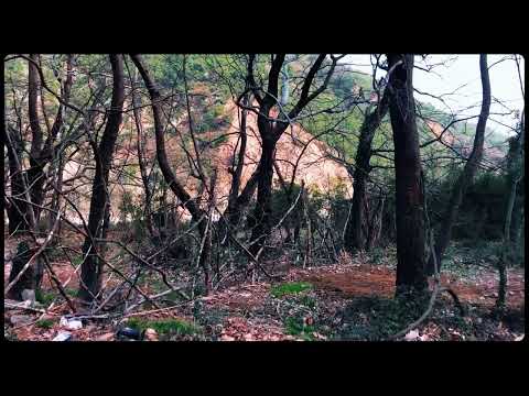 Orpheus Festival ~the location ~