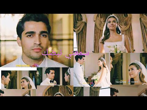 طائر الرفراف سيران فريد ❤️ سلمى رشيد سمعني نبضك