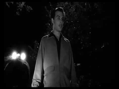 ed wood octopus motor