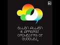 Ellen Allien & Apparat - Way Out / Do Not Break [Vinyl HQ]