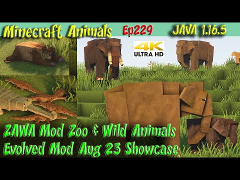 ZAWA Mod Zoo e Wild Animals Evolved Mod Showcase Aggiornamento JAVA 1.16.5 Minecraft Animals Ep22...
