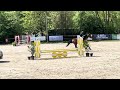 Hella - jument de 13 ans 