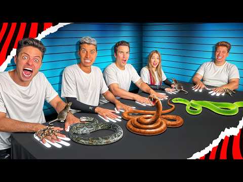 NÃO SE MOVA! *Desafio