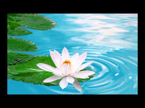 Firmeza - Rainer Scherenbraund