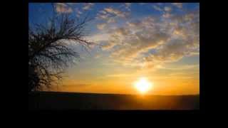 All&#39;improvviso amore