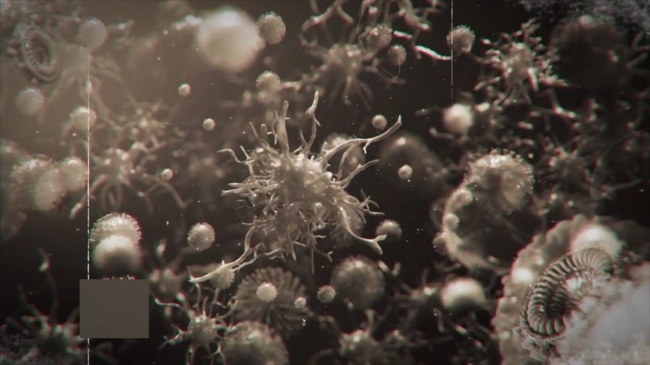 Del mandato divino a la tecnología de la muerte