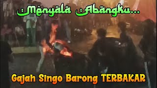 Download lagu Tarling Bersama 'GAJAH SINGO BARONG' Taruna Budaya Desa Timbang mp3