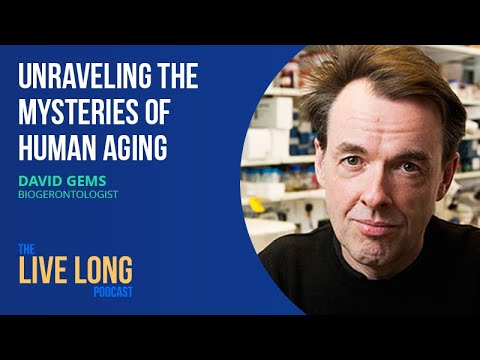 Using worms to understand aging: David Gems