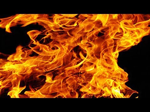 Pokémon El Eslabón Perdido Ep.6 | EL PRIMER ORBE |