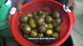 কৃষি বিপণন অধিদপ্তর