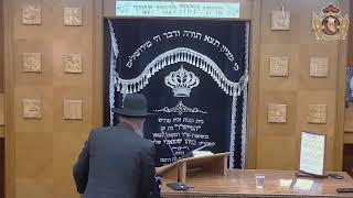 מוסדות הרב בניהו שמואלי שידור חי