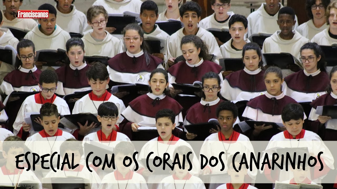 Especial com os Canarinhos #05 | Concerto