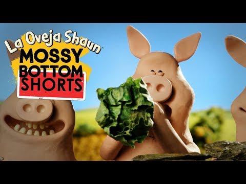 Lanzacoles - Mossy Bottom Shorts - La Oveja Shaun