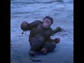 That Moment He Saved All Tribe | War For The Planet Of The Apes 2017 #shortsstory