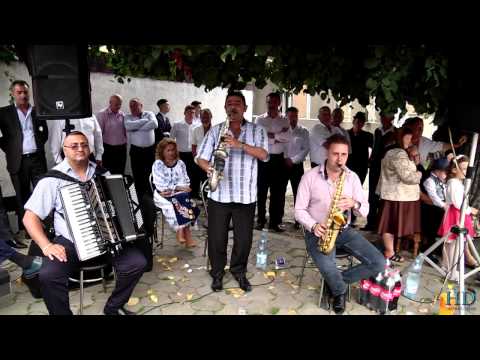 Romario Trifoi Rista Ceocu & Bobi - Program instrumental de joc - Nunta Ion si Maria Full HD 2017