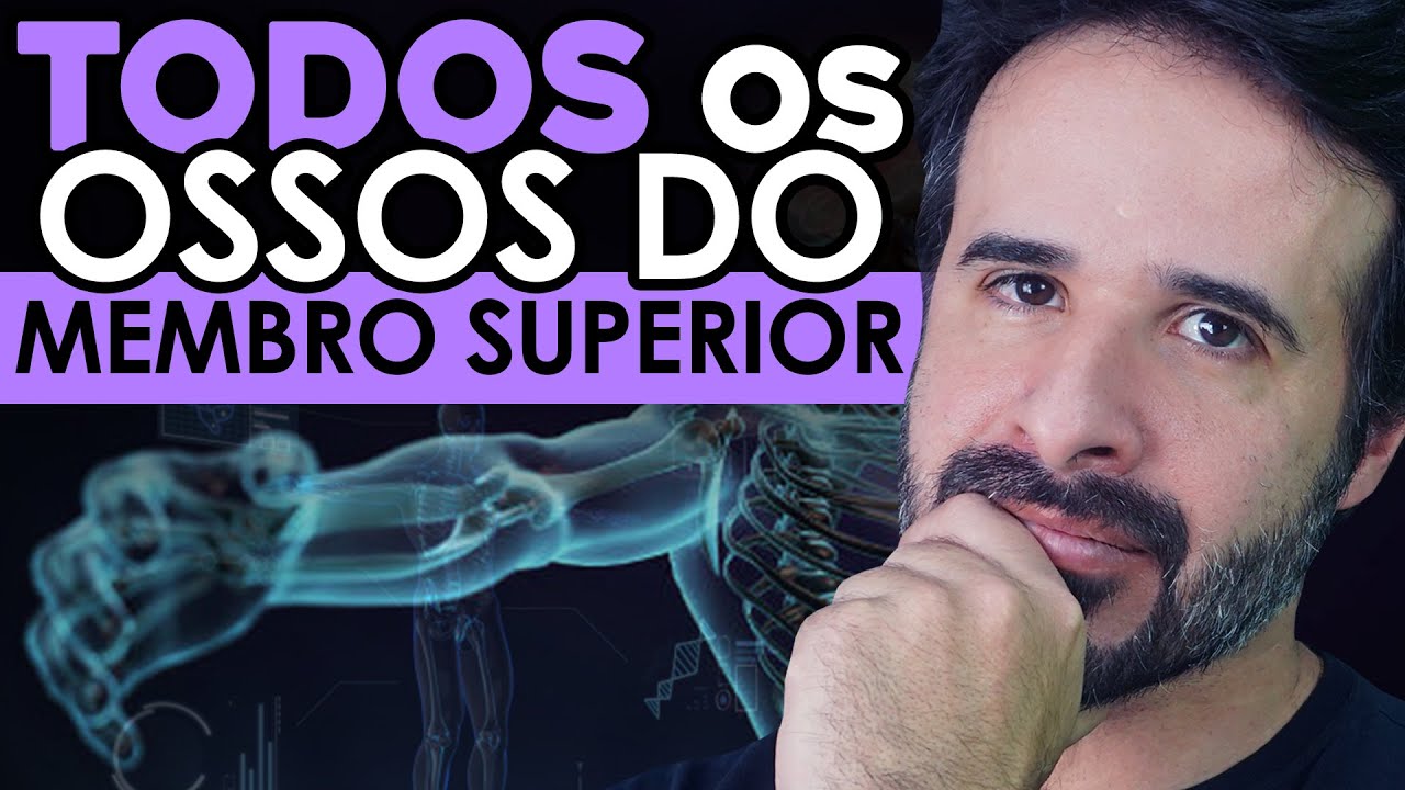 CONHEÇA OS DETALHES DOS OSSOS DO MEMBRO SUPERIOR.