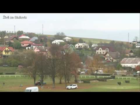 Dostihy 28. října - živě