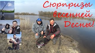 Запрещена ловля рыбы в мае на десне
