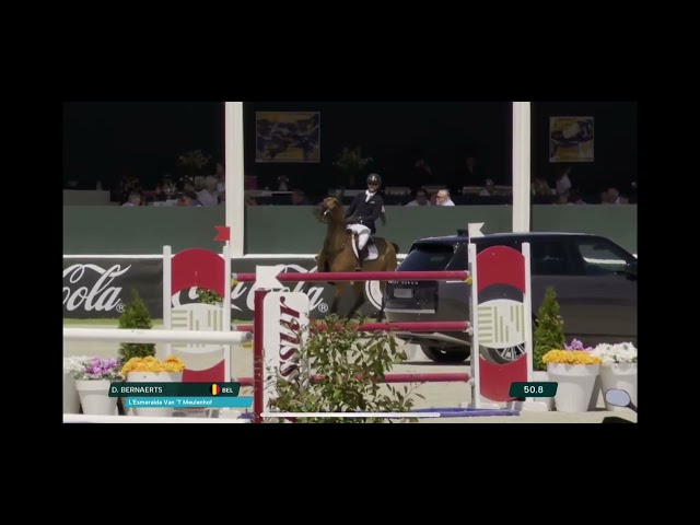 Great-grandmother of this frozen embryo is the CSI 1.55m juming mare L' Esmeralda van't Meulenhof with rider Karel Cox.