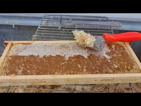 Årets försommarhonung klar!