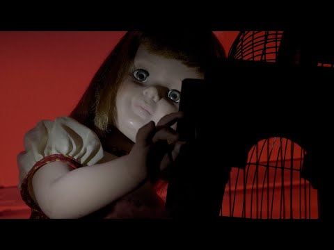 Magnolia Park - Houdini