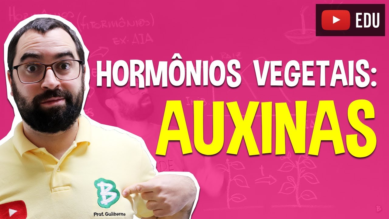 Auxinas (Hormônios Vegetais) - Fisiologia Vegetal - Aula 27: Botânica (Prof. Guilherme)