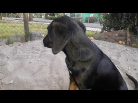 Nazira esta triste 😢😭😱