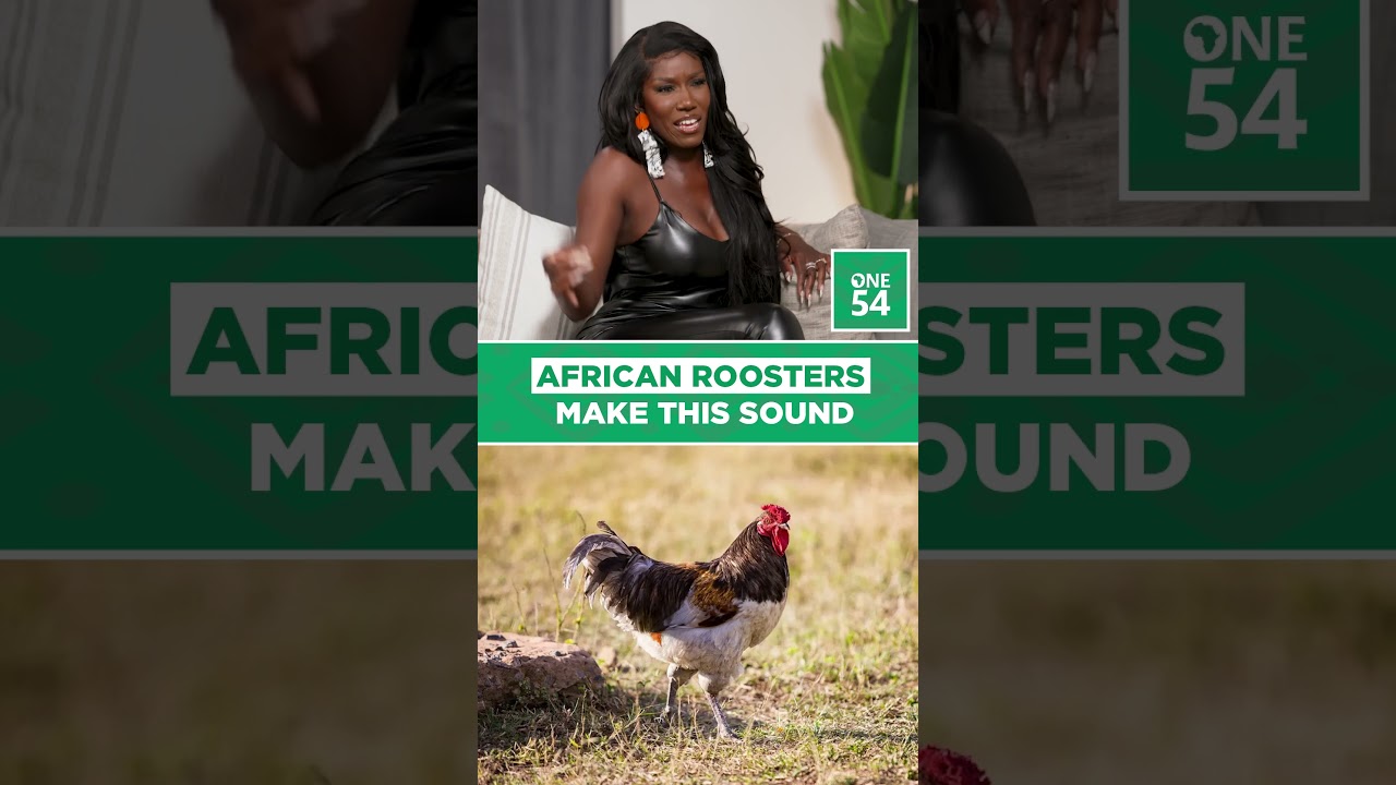 African Roosters Make This Sound | One54 Africa Podcast