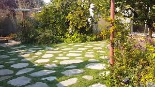 How to Turn an Unusable Garden into Paradise