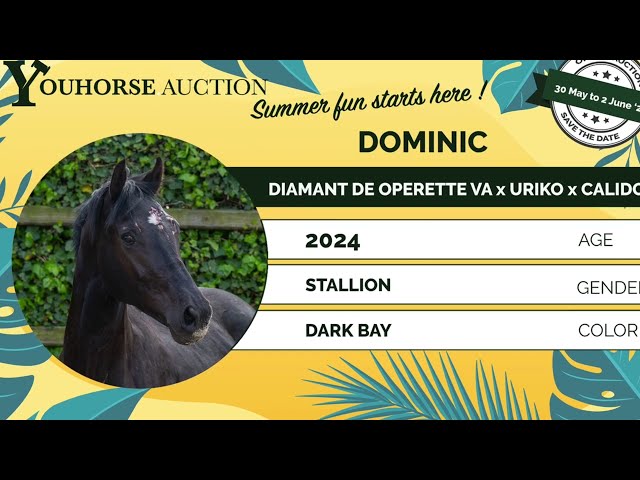 Dominic