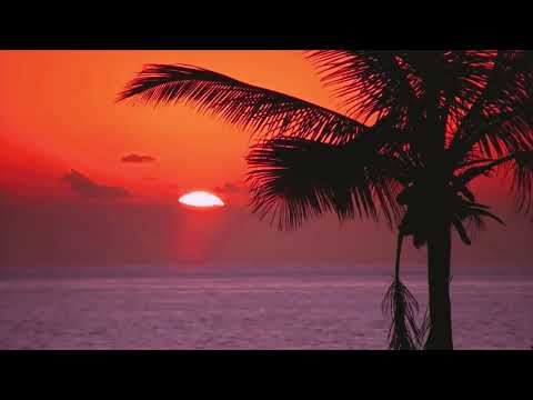 TAMO GDJE PALME CVATU - Aledory ( official video 2003. )