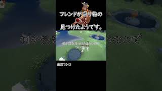 僕のskyの日常、フレンドが乗り物の裏技見つけたようです。【sky星を紡ぐ子どもたち】