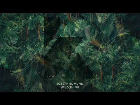 Joseph Edmund - Wild Thing (Extended Mix)